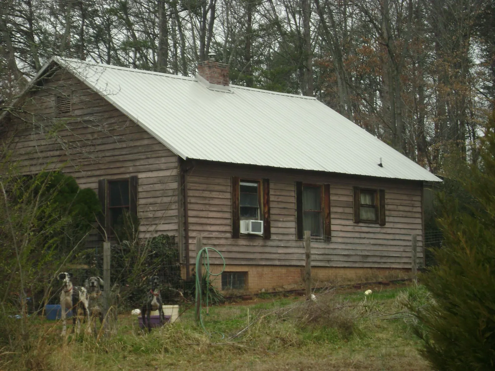 White metal roof on an old wood sided farmhouse in Goldston